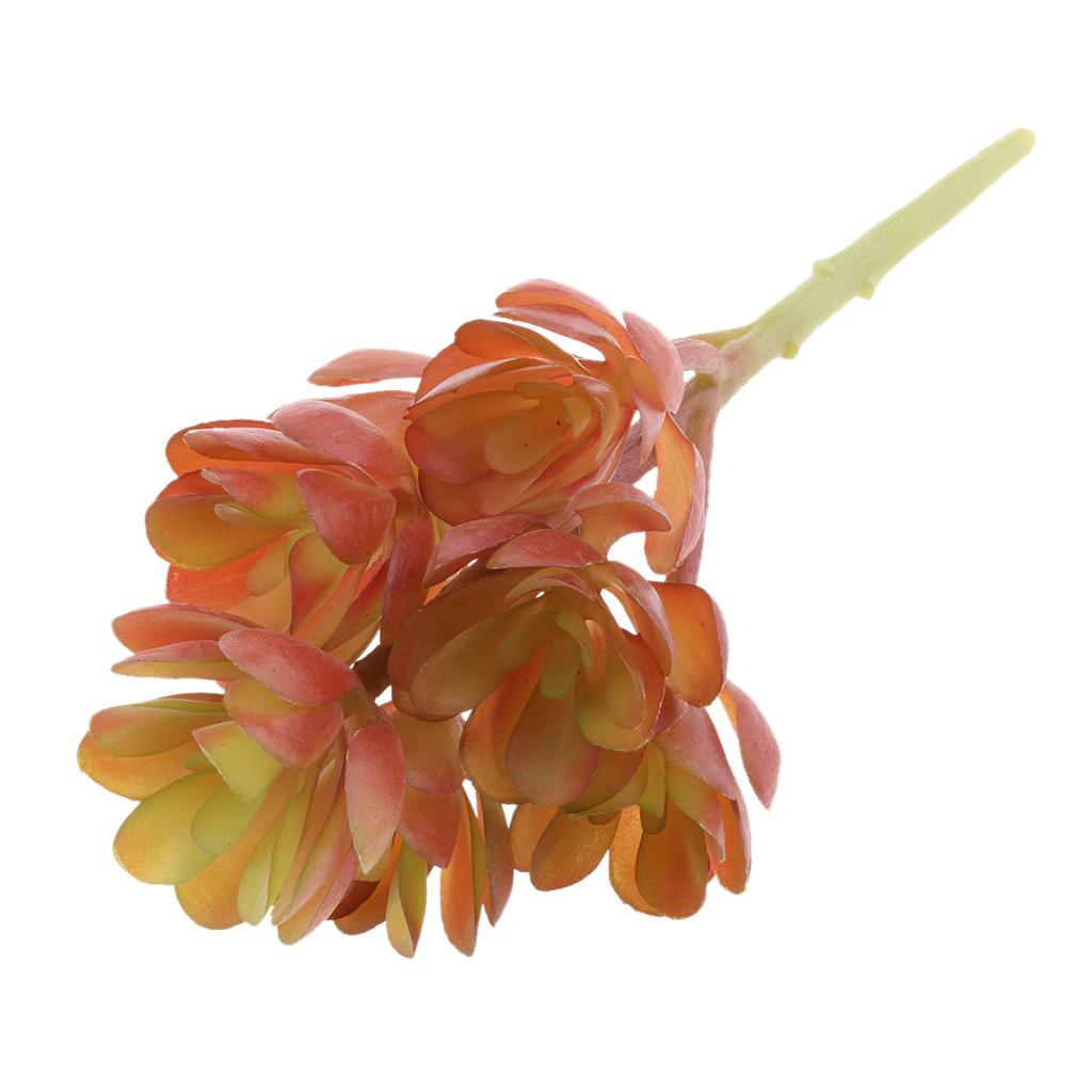 Echeveria Succulent - Tanaman Sukulen Buatan dari Plastik yang