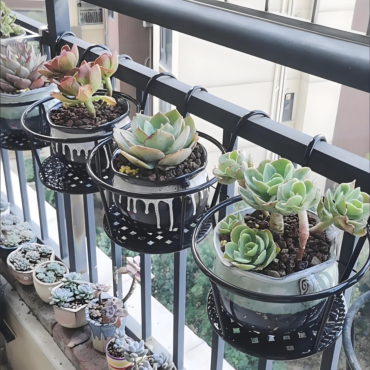 Keranjang Bunga Gantung Balkon - Spider Plant Hanging ulasan dan harga