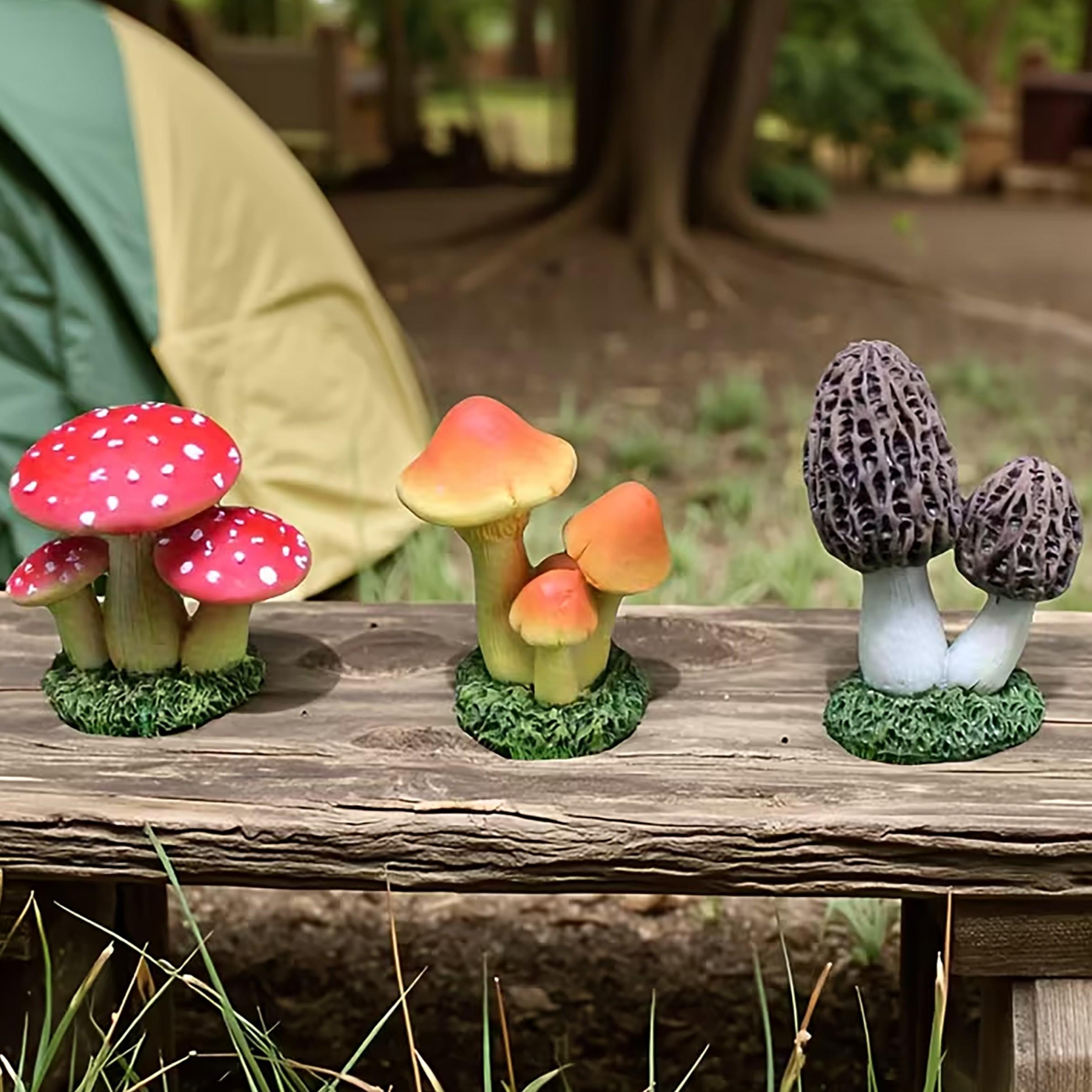 1 Set berisi 3 buah Hiasan Jam - Echeveria Succulent ulasan dan harga