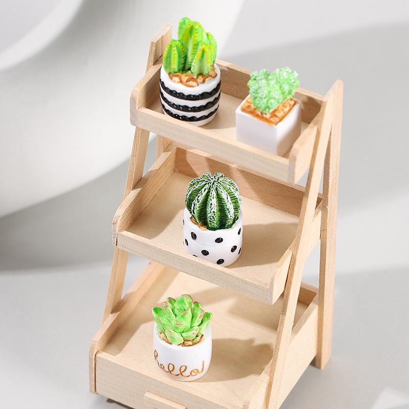 Set 4-Potong Tanaman Sukulen K - Echeveria Succulent ulasan dan harga