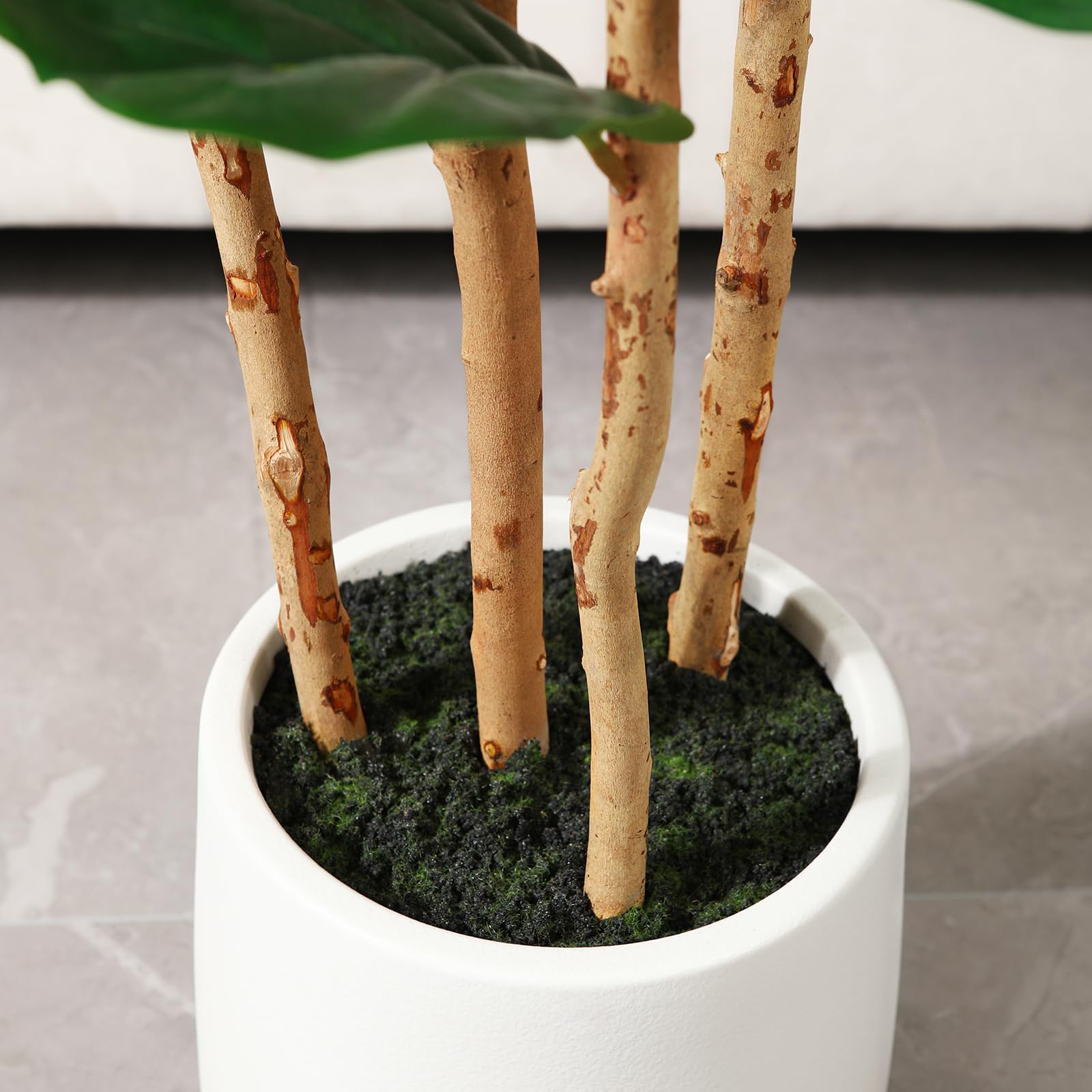Pohon Ficus Artifisial dengan  - Ficus Lyrata Tree ulasan dan harga